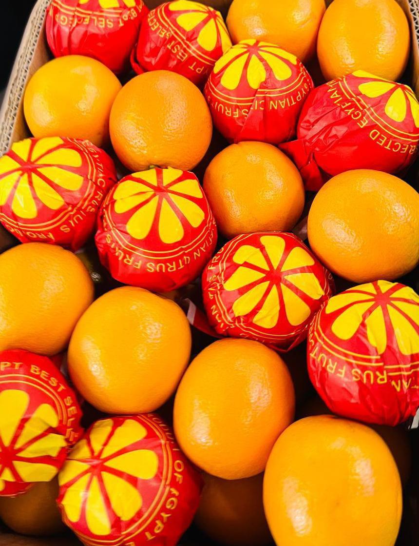 Top Egyptian Fruits & Vegetables in Global Demand