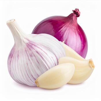 Garlic and onion (Mar-Oct)